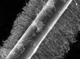 funciones del microscopio optico