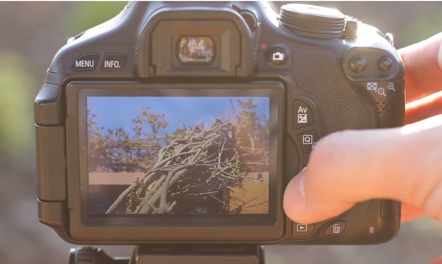 Fotos Digitales ejemplos