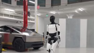 Tesla Optimus 2025
